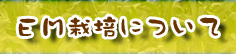 中原農園EM栽培について